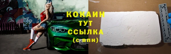 стаф Гусь-Хрустальный