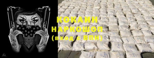 стаф Гусь-Хрустальный